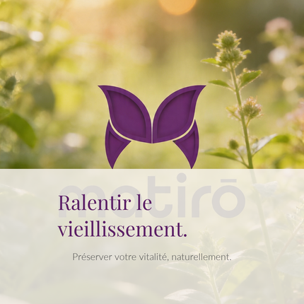 Longévité — ralentir le vieillissement et préserver sa vitalité naturellement
