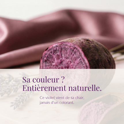 Qu'est-ce que l'Ubé ? Origine, bienfaits et différence avec le taro