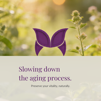 Slowing down the aging process. Preserve your vitality, naturally.